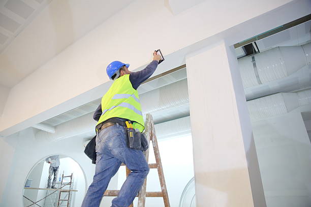 Best Ceiling Drywall Installation  in Morenci, AZ